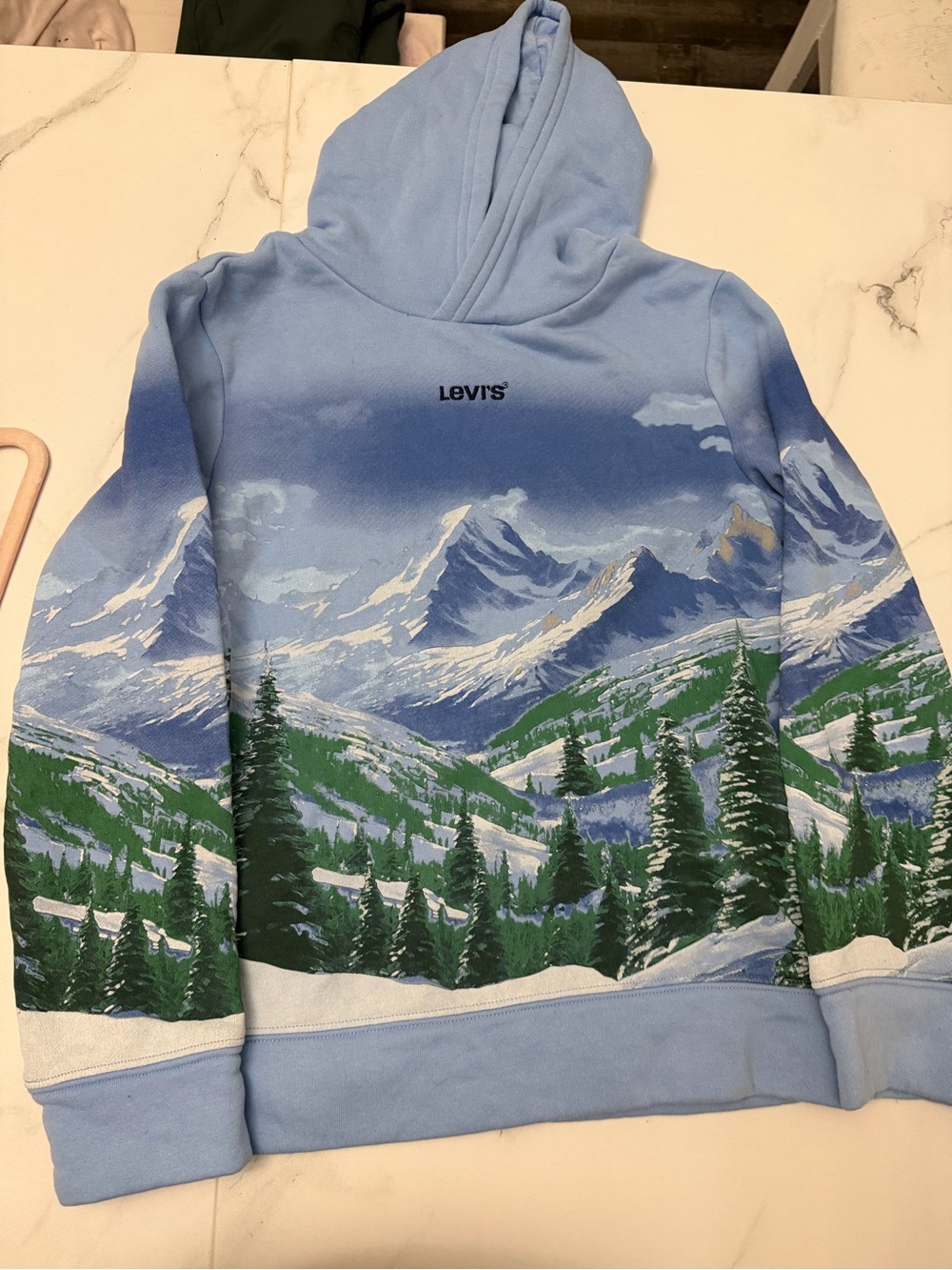 Levi's Light Blue Scenic Mountain Crewneck Hoodie